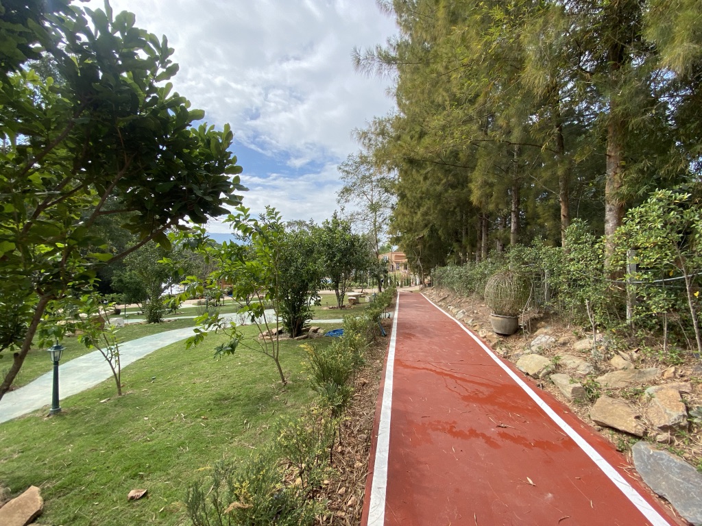 UNADJUSTEDNONRAW_thumb_9a3f